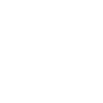 portafolio